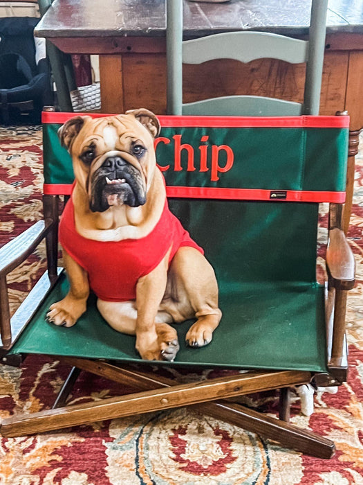 Pet Personalized Director's Chair - Matworks